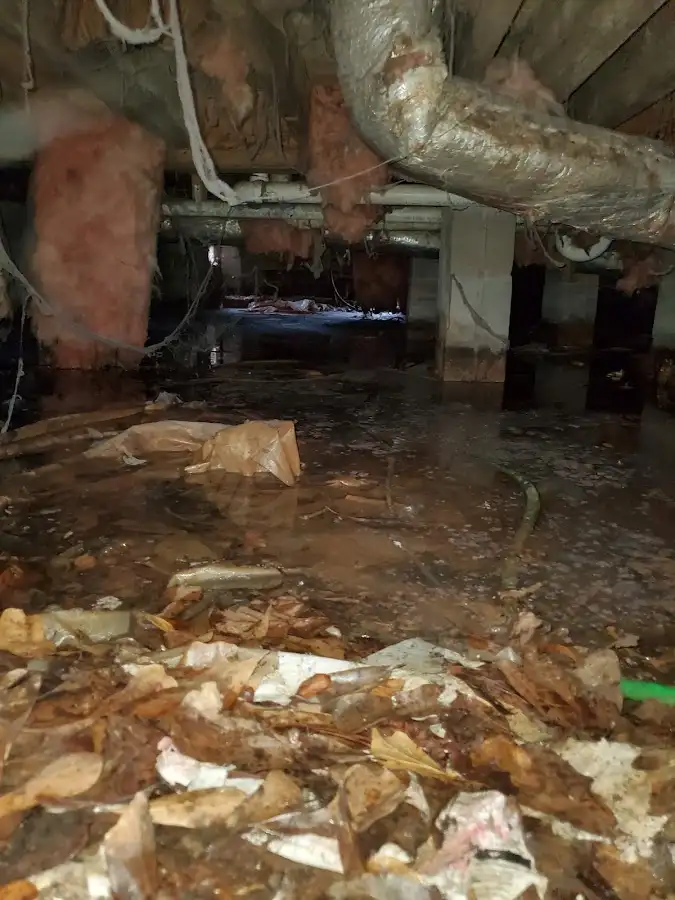 Crawl space flood assessment for Leak Detection & Repair in Charlotte